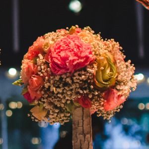 Meet your Posher, Alida